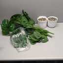 SAJANDAS Set of 2 Artificial Monstera Deliciosa Plants in Pots, Fake Tropical Trees with Greenery Leaves Stems, 32 Inch Faux Swiss Cheese Floor Plants for Home Porch, Garden, Office, Store Decor