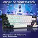 Redragon K701 Rapid Trigger Mechanical Gaming Keyboard, 60% Wired with Adjustable Actuation, Magnetic Switch, 8k Hz Polling Rate, RGB Backlit, 68 Keys Mini for PC Gamer, White/Blue-black