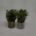 Flojery Mini Potted Plants Artificial Eucalyptus Boxwood Rosemary Faux Herbs Small House Plants 8.3"-9" Tall for Indoor Greenery Tabletop Décor Centerpiece (Sprayed Eucalyptus)