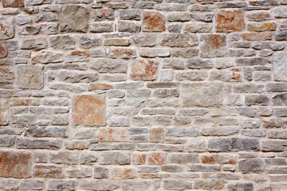 AOFOTO 15x10ft Stone Wall Backdrop Vintage Rock Stone Textured Photography Background Medieval Vineyard Old Castle Cobblestone Brick Wall Birthday Party Scene Setters Decoration Photo Booth Props