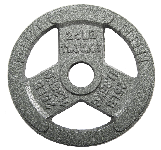 Cast Iron 2-Inch Weight Plates for Strength Training & Weightlifting, 50LBS total, Two Plate Set, 25lbs each