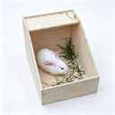 Rabbit Nesting Box, 18"x13"x12", Wood | 5" Entry Height, Fully Detachable Lid, For Breeding, Nursing & Nesting, For Rabbits, Chickens, Guinea Pigs, Chinchillas