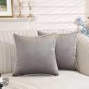 TAOSON Set of 2,Gray/Gray Velvet Throw Pillow Covers Decorative White Rope Edging Couch Pillow Covers for Modern Home Decor Cushion Cases Pillowcases for Living Room Couch Sofa Bed Bedroom,18x18 Inch