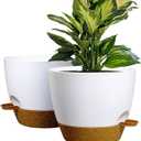 WOUSIWER 10 inch Self Watering Planters, 2 Pack Large Plastic Plant Pots with Deep Reservoir and High Drainage Holes for Indoor Outdoor Plants and Flowers, White with Terracotta