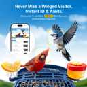 Smart Bird Feeder with Camera Solar Powered,5MP HD AI Identify Bird Species, Real-Time Alert & Weatherproof, Auto Record Videos, Ideal Gift for Christmas, Environmental Friendly,Non-Toxic