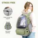Cawypety Cat Backpack Carrier, Breathable Cat Carrier Large Space Bubble Pet Backpack for Kitty Small Dog up to 15lbs, Transparent & Foldable Pet Carrier for Travel Hiking