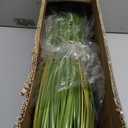 3ft 2-Pack Artificial Cattail Reed Grass, 35in Artificial Indoor Outdoor Fake Onion Grass Plant, Home Office Decorative Artificial Plants in Pot Faux Plant Greenery, Housewarming Gift, Green