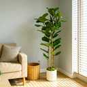 Artificial Fiddle Leaf Fig Tree 5FT with White Tall Planter-Large Faux Tree Tall Fake Floor Plant in Pot,Artificial Plants Indoor for Home Office Living Room Dcor(Lyrata 5FT)