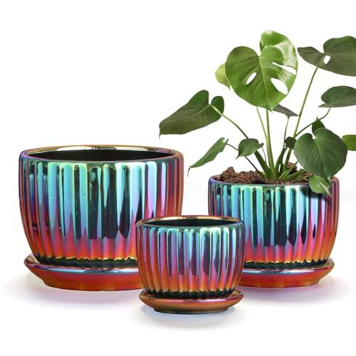 Ton Sin Flower Pots, Purple Ceramic Plant Pots Set of 3,Small Glazed Succulent Pots with Drainage Hole,Cactus Planter with Saucer,Outdoor Garden Pots (Colorful Gold)