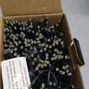 BrizLabs Smart Christmas Lights, 180FT 500 LED Color Changing Christmas Lights with App/Voice Control, Dimmable Warm White & Multicolor Mini Light String, Decorative Xmas Light for Indoor Outdoor Tree