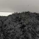 Ashler Faux Fur Rug, Black Area Rugs, Fluffy Sheepskin Fur Rug, Fuzzy Ultra Soft 2 x 3 Ft Rugs, Machine Washable Shag Rug, Nursery Throw Rugs for Bed, Living, Kids Room
