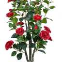 3.6FT Artificial Camellia Fake Tree Faux Plants for Home Office Living Room Porch Patio Decor Indoor Outdoor (1, Red-3.6Ft)