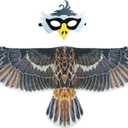 D.Q.Z Bird-Wings-Eagle-Costumes for Kids Dress Up Toys Parrot Halloween Role Play Animal Party (Gray)