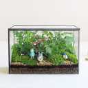 Glass Plants Terrarium with Lid,Rectangle Black Pot Box for Indoor Plants,Geometric Clear Containers for Moss and Succulent,Tabletop Decor DIY Gift,8.3L x 4.7W x 5.5H