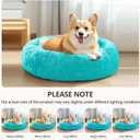 JOLLYVOGUE Calming Small Dog & Cat Bed for Indoor Cats - 20 inches Washable Donut Bed for Kittens & Puppies, Anti-Anxiety Round Fluffy Plush Pet Beds (Fits up to 15 lbs, Aqua Blue)