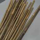 2ft Natural Bamboo Plant Stakes for Tomatoes, Beans, Flowers, Potted, Climbing Plants 30pcs