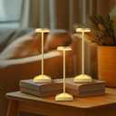 FUNTAPHANTA 3 Pack 7.67in Gold Small Cordless Table Lamps Rechargeable, Battery Operated Mini Lamp, Small Lamp Touch Portable Table Lights, LED Night Light for Bedside/Dining/Bar/Outdoor (Gold-C)