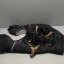 Dog Winter Jacket Fuzzy and Warm 2XL, Black/Grey