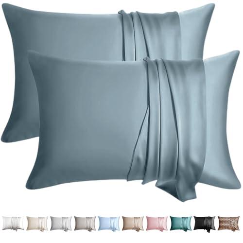 WLOSJ 100% Silk Pillow Cases 2 Pack Queen Size Mulberry Silk Pillowcase for Hair and Skin Set of 2 Highest Grade 6A Silk Soft Breathable Cooling with Hidden Zipper, Grey Blue