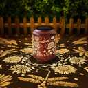 Birthday Gifts for Women Mom Grandma Solar Lanterns Outdoor Waterproof Dragonfly Garden Decor Mothers Day Gifts , Hanging Solar Lights Metal Lantern Decoration Outside for Yard, Patio(Dragonfly)