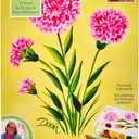 FolkArt, Carnation One Stroke Beginner Painting Kit, Includes 5 Colors, 1 Flat Brush, and a Reusable Teaching Guide