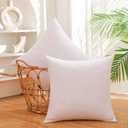 24x24 Inch Gold Goose Down and Feather Throw Pillow Inserts-2 Packs,White,Super Soft Cover,Double Layer Dwon Proof Design,High Filling Weight.