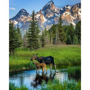 Jigsaw Puzzles 1000 Pieces for Adults Grand Teton National Park Moose Educational Gifts for Teens and Kids Difficult and Challenge Jigsaw Puzzle School Supplies Props Wooden Puzzles DIY Unzip Game