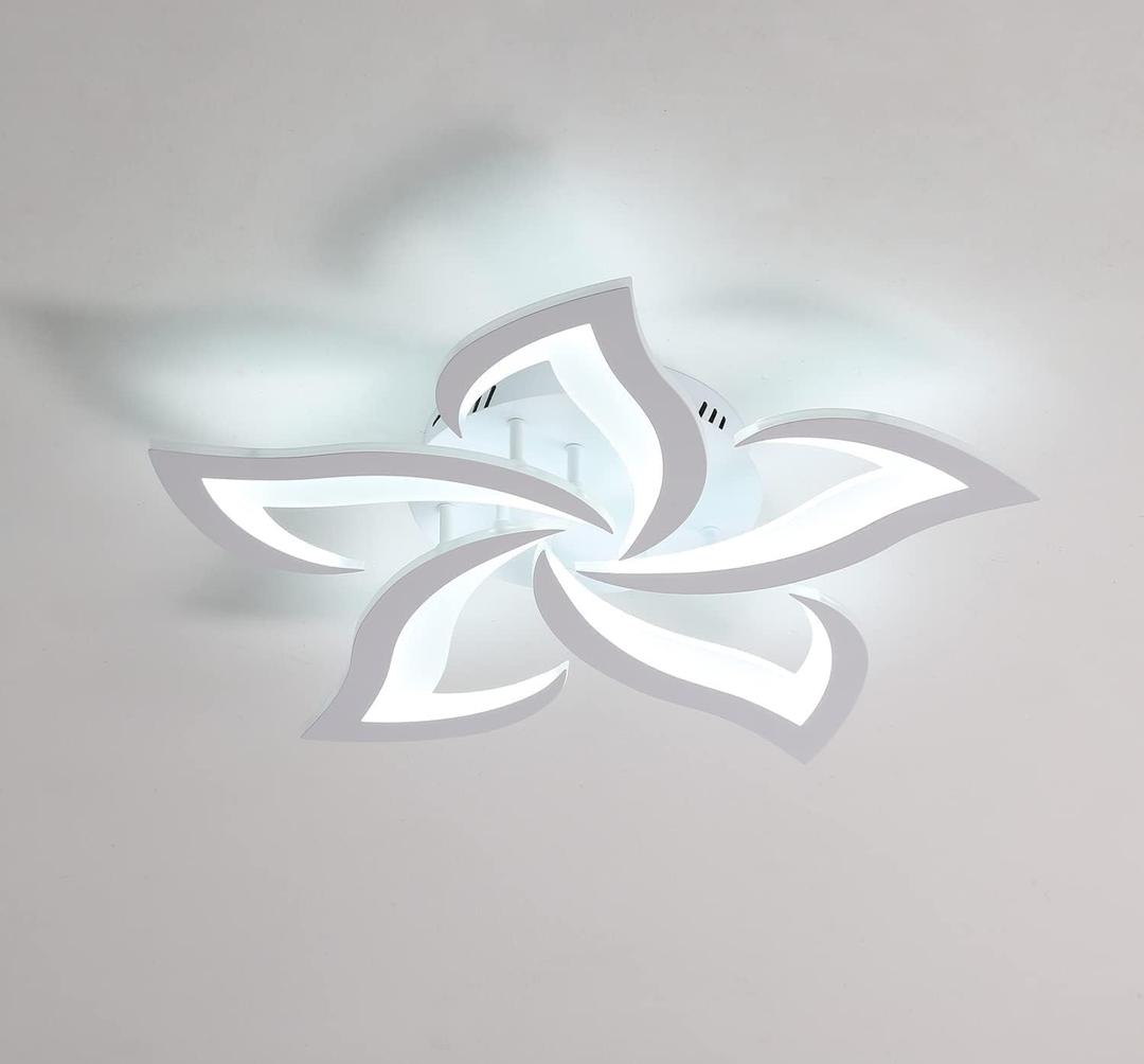 DELIPOP LED Ceiling Light Fixture, 6500K Modern LED Flush Mount Ceiling Lights, 23.6 inch Acrylic Ceiling Lamp for Living Room Dinning Room Kitchen Bedroom Ceiling Light Fixtures Ceiling Mount