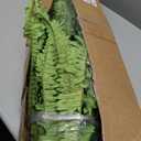 Artificial Boston Fern Bush- Set of 2 Large Artificial Ferns for Outdoors, 45Inch Large Faux Ferns, Suitable for Office & Living Room Decor, 55Branches for Each Bouquet