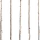 5 Pcs White Birch Poles 4 ft 1-1.5" Diameter Natural Wood Sticks