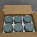 NETANY 6-pack 16oz Glass jars with Airtight Lids, Overnight Oats Containers with Lids, Wide mouth Mason Salad jars, Glass Food Storage Containers for Snacks Yogurt Spice Sugar - Green