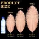 Maitys 90 Pcs Large Natural Ostrich Feathers Bulk 14-16 Inch (35-40cm) 12-14 Inch (30-35cm) 10-12 (25-30cm) Ostrich Feathers Plumes for Centerpieces Wedding (Champagne)