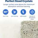 PetSafe ScoopFree Premium Crystal Cat Litter - Outperforms Clay Litter - Refill Packs - Reusable Tray Compatible - Fragrance Free - 4.3 lb Bags - 2 Pack