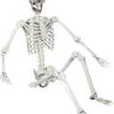 5.4ft Halloween Posable Skeleton Realistic Life Size Human Skeleton Bones with Movable Joints for Halloween Haunted House Indoor Outdoor Dcor (1Piece)
