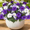 Artificial Flowers for Outdoors, Faux Petunias Spring Summer Decoration, Fake Flowers Plants UV Resistant Look Real Silk Flowers for Outside Planter Front Door Porch Patio Yard (6, Purple-White)