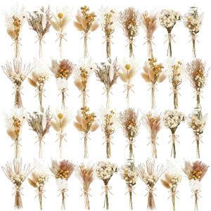 10/12/24/36 Pack Mini Dried Flowers for Vase Wedding Various Mini Bouquet Dried Small Wildflowers Natural Flowers Bulk for Crafts DIY Decor (36, Plain Colour)