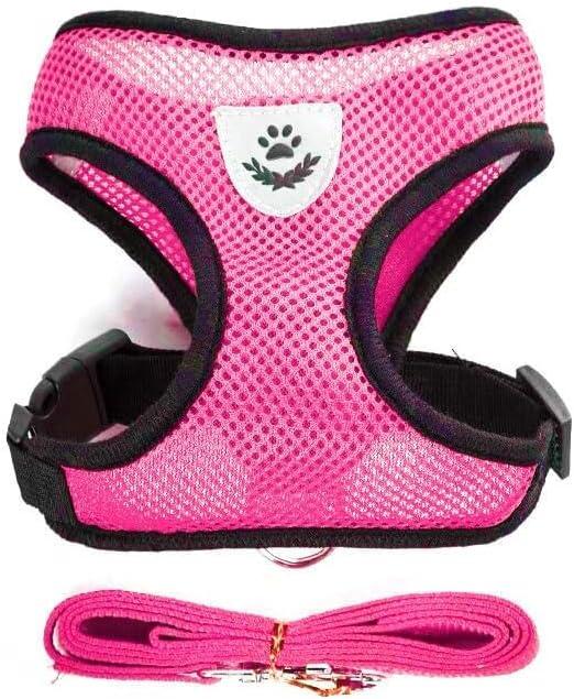 No-Pull Dog Harness, Adjustable Reflective Vest with Quick Release Buckle, Breathable Mesh (M, Pink)