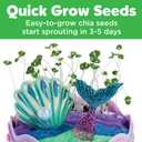 Creativity for Kids Mini Garden: Mermaid Terrarium Kit - Mermaid Gifts for Girls, Crafts and Toys, Holiday Stocking Stuffers for Kids (Ages 6+)