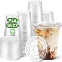 16 OZ Compostable Clear Plastic Disposable Iced Coffee Cups with Flat Lids, Biodegradable Cold Drinking To Go Coffee Cups for Party Smoothie, Slushy, Milkshake Lemonade 50 Sets