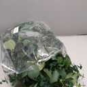 360 Feet 48 Pack Fake Greenery Hanging Garland, Ivy Leaf Plants, Vine Leaves, Fake Flowers Foliage for Bedroom Garden Wall Decor 