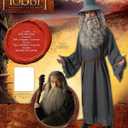 Rubies Lord Of The Rings: Gandalf Costume for Adults, Men's Standard (Black)