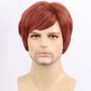 BERON Mens Orange Wig Short Straight Ginger Male Dark Orange Auburn Heat Resistant Daily Wear Costume Synthetic Wigs Come