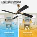 WINGBO 54 Inch Ceiling Fan with Light and Remote, 4 Plywood Blades, 6-Speed Reversible DC Motor, Dimmable, 3CCT, Farmhouse Ceiling Fan for Bedroom Living Room Kitchen, Brass and Black