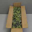 Winlyn 14" Artificial Eucalyptus in Rectangular Wood Planter Box Faux Plants Arrangement Centerpiece Wooden Potted Eucalyptus Plant for Farmhouse Wedding Dining Table Centerpiece Greenery Mantel Dcor