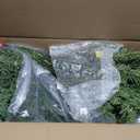 National Tree Company 4 ft Pre-Lit Dunhill Fir Mini Artificial Christmas Tree, 200 Warm White LED Lights, 559 Tips, Includes Stand, Green