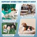 Dog Knee Brace for Torn ACL Hind Leg, Dual-Leg Hinged CCL Knee Support Harness for Dogs Helps with Torn CCL Arthritis Ligament Injury Hip Dysplasia, XXL
