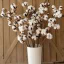 idyllic Cotton Stems Decor Branches, Cotton Flowers Plants for Decorations, Dried Flowers for Vase, 6 Pcs-31 Inches Tall - 12 Bolls per Stem