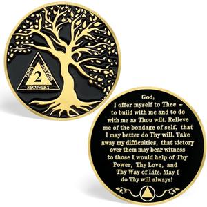 2 Year Sobriety Coins, Tree of Life 2 Year AA Medallions - AA Sobriety Chips Recovery Coins Sober Tokens for Alcoholics Anonymous Recovery Sober Gifts for Men Women