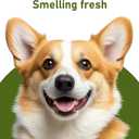 Ear Cleaner for Dog & Cat, Gentle Ear Cleaning Solution to Remove Wax, Dirt & Debris, Soothe Ear, 237ml/8fl.oz