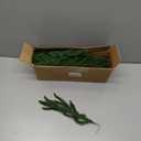 30 Pcs Christmas Real Touch Norfolk Stems, 15Inch Artificial Pine Branches Faux Evergreen Pine Sprigs Fake Foliage Greenery Picks for Christmas Wreath Making DIY Crafts Home Decor (30, Dark Green)